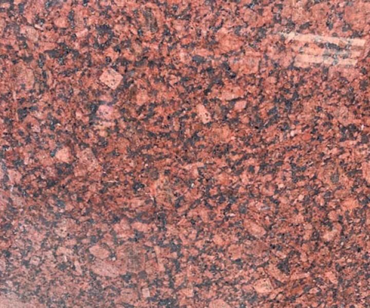 Đỏ ấn độ