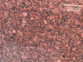 Đỏ ấn độ