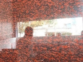 Đỏ hồng đào