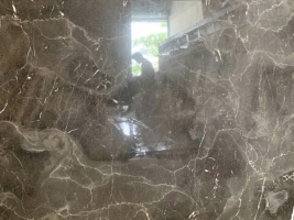 Nâu hoàng đế